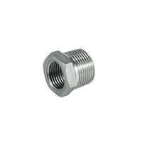 Bouchon de tuyau à tête hexagonale en acier inoxydable, filetage mâle BSP NPT DN20 pour la plomberie industrielle