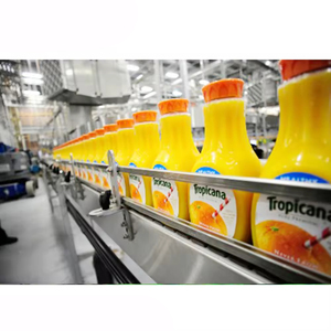 Ligne de production de machines de remplissage automatiques de jus de fruits (pomme, mangue) en bouteilles PET sur mesure - Product Image 1