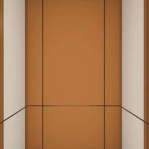 Ascensor de Pasajeros FUJI con Accionamiento AC Suave, Seguro y Estable para Almacenes, Villas y Talleres, Precio Competitivo - Product Image 2