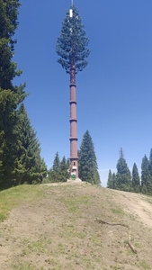 Torre de antena de pino artificial Torre celular camuflada para áreas rurales y urbanas - Product Image 5