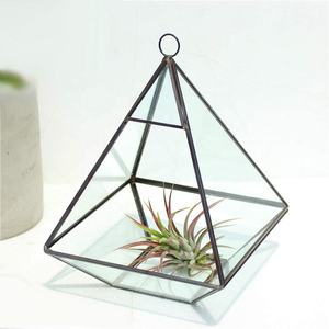 Luft pflanze Glas halter Vase Unregelmäßiges Gold Schwarz Kupfer Glas Geometrisches <span class=keywords><strong>Terrarium</strong></span> für Sukkulenten - Product Image 2