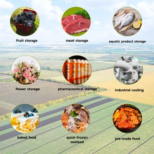 Nhà máy cho bitzer ngưng tụ đơn vị tự động lạnh kho thiết bị R404a/R290/380V lạnh phòng ngưng đơn vị - Product Image 2