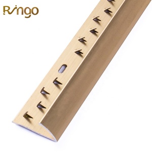 <span class=keywords><strong>Ringo</strong></span> Factory personalizzato colore effetto anodizzato tappeto profilo di bordatura a basso prezzo in acciaio inox pavimento flessibile decorazione - Product Image 4