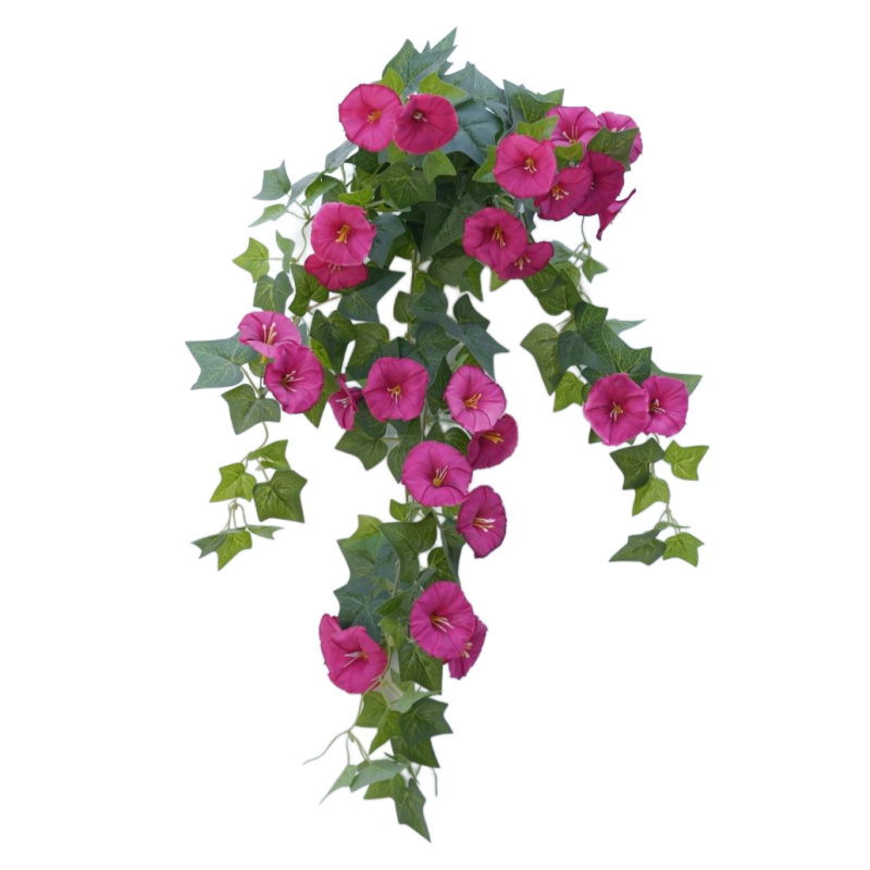 Morning glory (dark pink)
