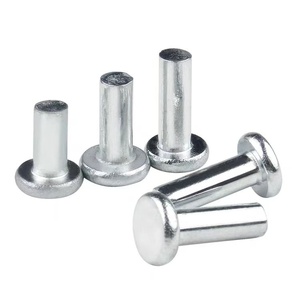 Plain Steel Solid Flat Head Rivet