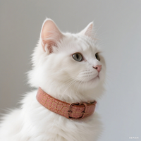 Collier pour animaux de compagnie Collier en cuir de liège peau de serpent Collier de chien de chat réglable pour petits animaux de compagnie