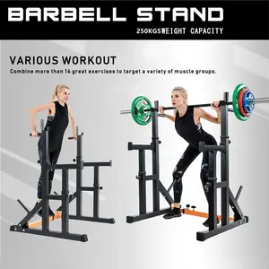 Wellshow Sport Barbell Dip Stand Home Gym Fitness Verstelbare Squat Rack Gewichtheffen Bench Press Dompelen Station