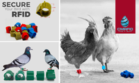 Bagues RFID pour pigeons de course 125 kHz TK4100 et 134 kHz EM4305/T5577 – Personnalisables