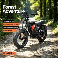 Vélo électrique à gros pneus avec freins à disque hydrauliques, moteur 60V 2000W, écran LCD E300, vente en gros, vélo cargo, quad électrique