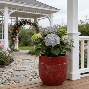 Grand pot à fleurs en céramique de style américain, couleur bordeaux, motif à pois, pour bonsaï, avec trou de drainage, pour jardin intérieur/extérieur, patio - Product Image 2