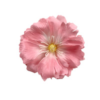 Groothandel 8cm Roze Kunstbloemen Hoofden DIY Bloemassortiment Kit voor Bruiloft Fotografie Afstudeerhoed Haaraccessoires