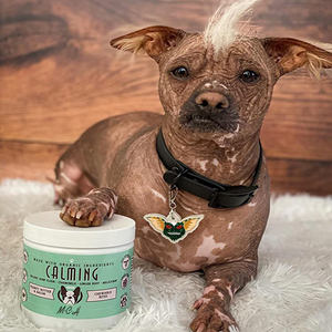 OEM/ODM Friandises naturelles pour chiens, suppléments pour animaux de compagnie, saveur dinde, apaisants, pour l'anxiété, le stress et les aboiements, suppléments de soins de santé pour animaux de compagnie - Product Image 4