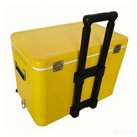 Chariot isotherme roulant 40L/50L, nouveau design, seau à glace métallique, boîte à glace isotherme avec roues et poignée de traction pour l'extérieur