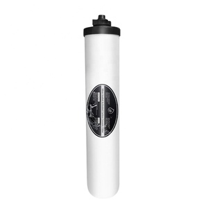 SOUDRON argent chargé carbone acier inoxydable filtre à eau bougie cartouche filtrante en céramique pour système purificateur - Product Image 1