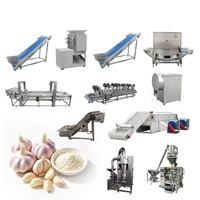 Équipement de Traitement de l'Ail de Qualité Supérieure, Machine à Fabriquer de la Poudre d'Ail, Ligne de Production de Poudre d'Ail