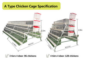 Vente flash : 96/160 poules, équipement d'élevage pour poules pondeuses de type A, <span class=keywords><strong>cages</strong></span> à batterie pour poules pondeuses - Product Image 4