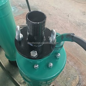 Bomba de Aguas Residuales Centrífuga Multietapa de Acero Inoxidable de Alta Presión de 200m a 300m con Motor Trifásico - Product Image 5