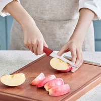 Gratis proefexemplaar keukenproducten speciale scherpe roestvrijstalen 4 inch utility- / groentenmes / schilmes / fruitmes
