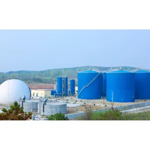 High Quality Desulfurization Scrubber System Biogas Low Energy Consumption Membrane Separation CO2 Removal Equipment