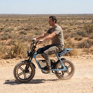 Vélo électrique grande capacité 16Ah pour adultes avec écran LCD, vélo électrique à pneus larges pour les trajets quotidiens et le sport - Product Image 2