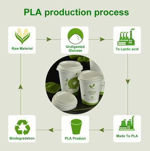 <span class=keywords><strong>Gobelet</strong></span> à café en papier compostable biodégradable de qualité alimentaire PLA avec couvercle, 4 oz, 8 oz, 10 oz, 12 oz, 16 oz, 20 oz - Product Image 6