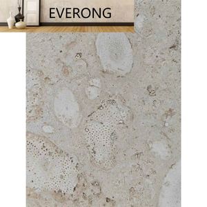 Natural blanco Beige mar Coralstone agujeros sin relleno crema Beige Coral travertino <span class=keywords><strong>Coralina</strong></span> piedra losa azulejo pared Panel ladrillo - Product Image 2