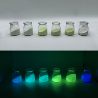 Pigment phosphorescent luminescent qui brille dans le noir, poudre photoluminescente pour revêtement et maquillage