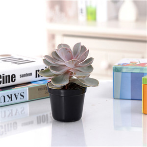 Promozionale carino giardino a buon mercato quadrato rotondo piccolo bianco nero 2.6 ''2.1'' vivaio piantina di piante succulente vaso - Product Image 3