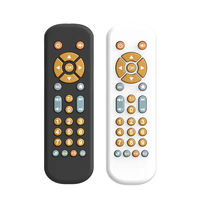 Télécommande de télévision et jouet de dentition pour bébé en plastique souple et silicone, avec musique et apprentissage des langues, pour le soulagement des poussées dentaires et le jeu sensoriel
