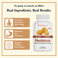 Capsules d'extrait d'Hericium Erinaceus, complément tonique nutritionnel à base de crinière de lion pour le cerveau, l'intestin et le bien-être général