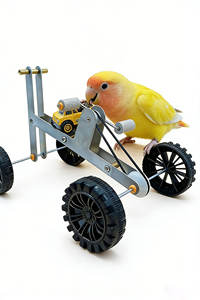Mini jouet de vélo pour perroquet, jouet d'équilibre pour oiseaux, puzzle, jouet d'apprentissage interactif pour la conduite à vélo, pour perruche et calopsitte - Product Image 4