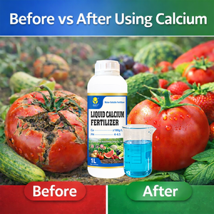 Fertilizante de Calcio Soluble en Agua para Cultivo de Vegetales, Fertilizante Líquido para Riego y Aplicación <span class=keywords><strong>Foliar</strong></span> - Product Image 2