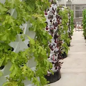 Sistema de Torre Aeropónica Vertical para Cultivo Hidropónico de Piña, ABS, 80 Orificios, Tamaño <span class=keywords><strong>Pequeño</strong></span> para Uso con Plantas, <span class=keywords><strong>Invernadero</strong></span> Hidropónico de Grado Alimenticio - Product Image 5