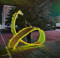 Danse du dragon lumineuse LED rouge, jaune, bleue, verte pour jardin et place publique