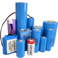 Batería de Litio Desechable de Alta Temperatura (150 Grados) ER14250S 3.6V 0.8Ah 1/2AA 14250S 14250H para Juguetes
