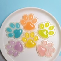 10 Pièces Cabochons en Résine Transparente en Forme de Patte Miniature à Dos Plat pour Épingles à Cheveux, Scrapbooking, Bricolage, Décoration Intérieure, Accessoires Artisanaux 61mm