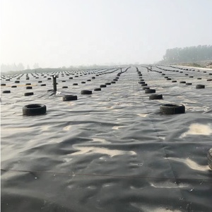 Geomembrana HDPE para acuicultura, precio de Geomembrana, represa de depósito, minería, revestimiento para estanque de peces, venta al por mayor - Product Image 4