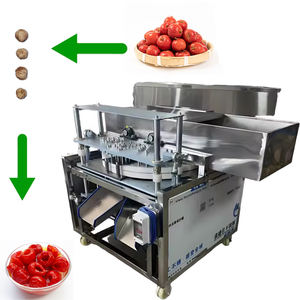 Machine à dénoyauter automatique électrique commerciale pour cerises, olives, aubépines et dattes, 1,5 kW, 100-200 kg/h - Product Image 1