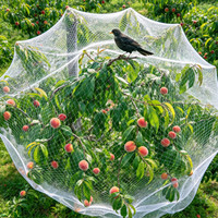 Filet anti-oiseaux robuste de 4 m de large pour la protection des jardins, la couverture des vignobles, la protection des arbres, le système d'ombrage des vergers