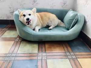 Bán Buôn Sang Trọng Siêu Cổ Điển Pet Sofa Giường Không Thấm Nước Pet Ưa Thích Chỉnh Hình Con Chó Ghế Giường Đồ Nội Thất Bằng Gỗ Cũi Mèo Tổ - Product Image 6