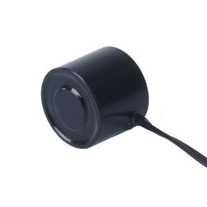 10Kg/100Nミニ電磁磁石6v12v 24vDc小型電気リフティングマグネット - Product Image 2