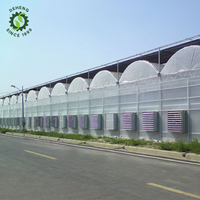Structure de serre commerciale plantation système hydroponique de fraise équipé de serres à climat contrôlé à vendre
