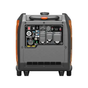 Whole House Gasoline And LPG Generators 5.5KW Portable Power Generators For Home Use