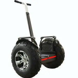 Popular 19 Inch Fat Tire Electric Chariot Covered 70V 2000W Self Balanced Scooter