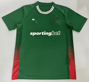 เสื้อเจอร์ซีย์พิมพ์ลายตามสั่งสำหรับผู้ชาย ระบายอากาศได้ดี ผลิตจากโพลีเอสเตอร์ 100% แขนสั้น มีไซส์พลัสไซส์ XL - Product Image 1