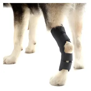 Produttore Traspirante Lesioni Recuperare Protezione Del Cane Knee Brace per Gamba Garretto Comune Wrap