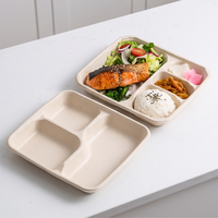 Assiettes en papier 100 % compostables à 3 compartiments, barquettes jetables pour le déjeuner scolaire, assiettes écologiques en bagasse pour buffet, fête, mariage