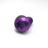 Vis en titane anodisée CNC vis autotaraudeuse M3 M4 M8 M6 M10 boulon de vélo à tête de bouton colorée GR2 GR5 Torx vis en titane