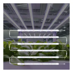 Serre pour plante d'intérieur, 9000K T8 T5, lampe de croissance LED rouge bleu blanc, lampe de croissance solaire