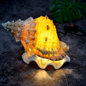 Lampe de chevet artisanale écologique en coquillages, forme naturelle, pour décoration de chambre à coucher de Noël - Product Image 1